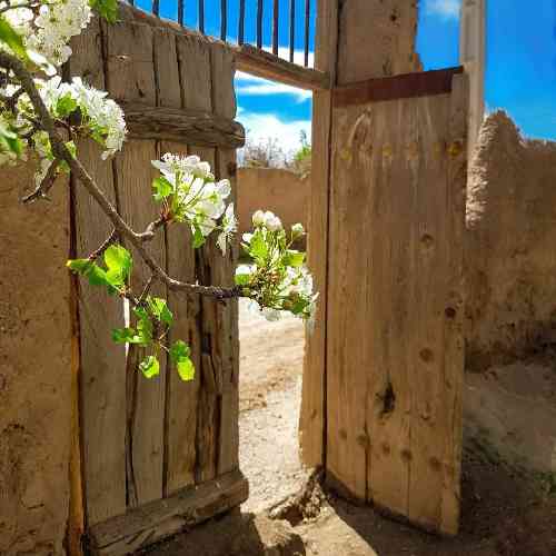 مصطفی ابراهیمی خدایا بی کسی اندازه داره اگه عاشق بشه